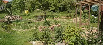 ppermaculture_garden.JPG