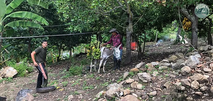 farm_life-32640132878.